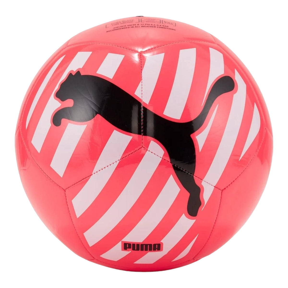 Balón de Fútbol Puma Big Cat 083994 05