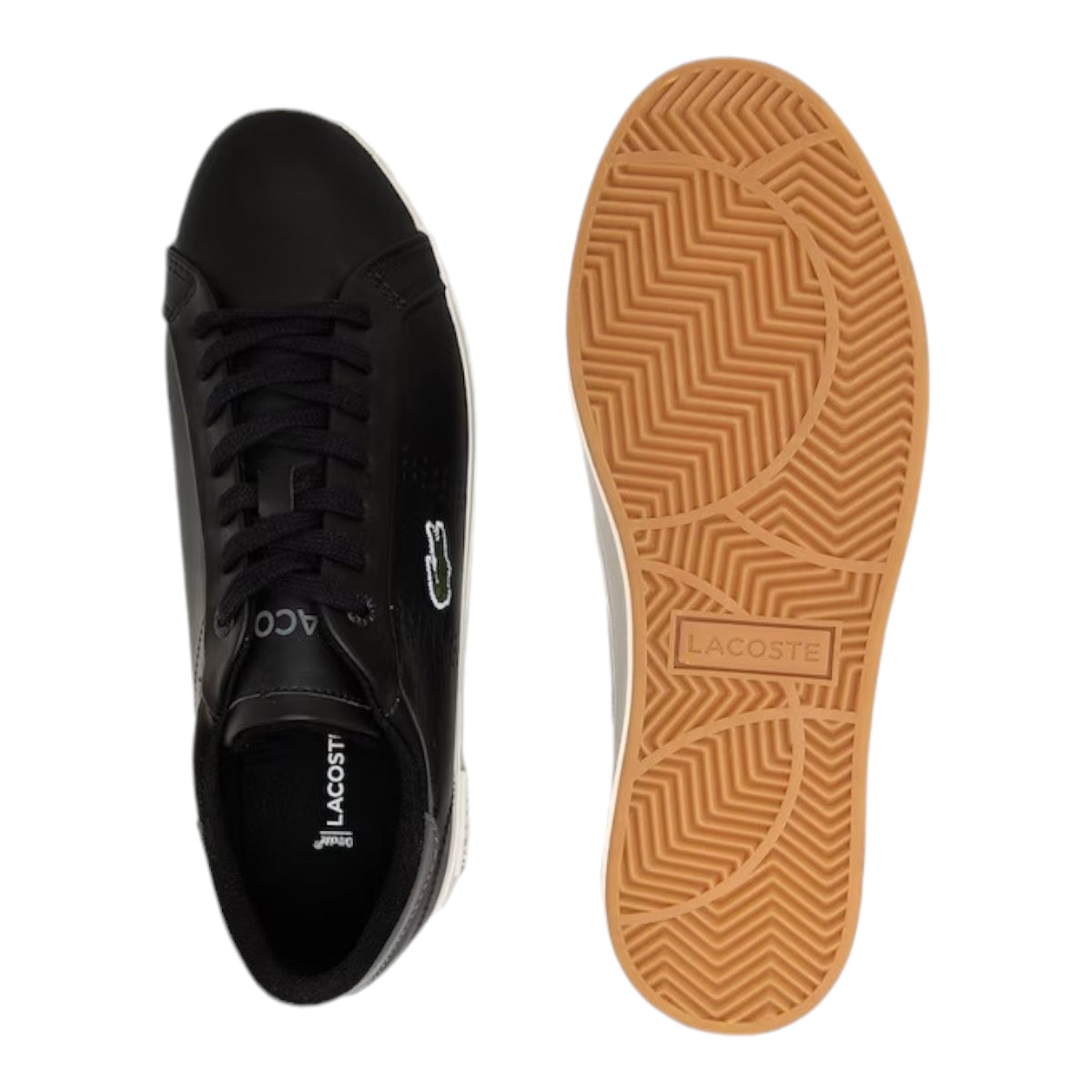 Tenis Caballero Lacoste SMA0021237