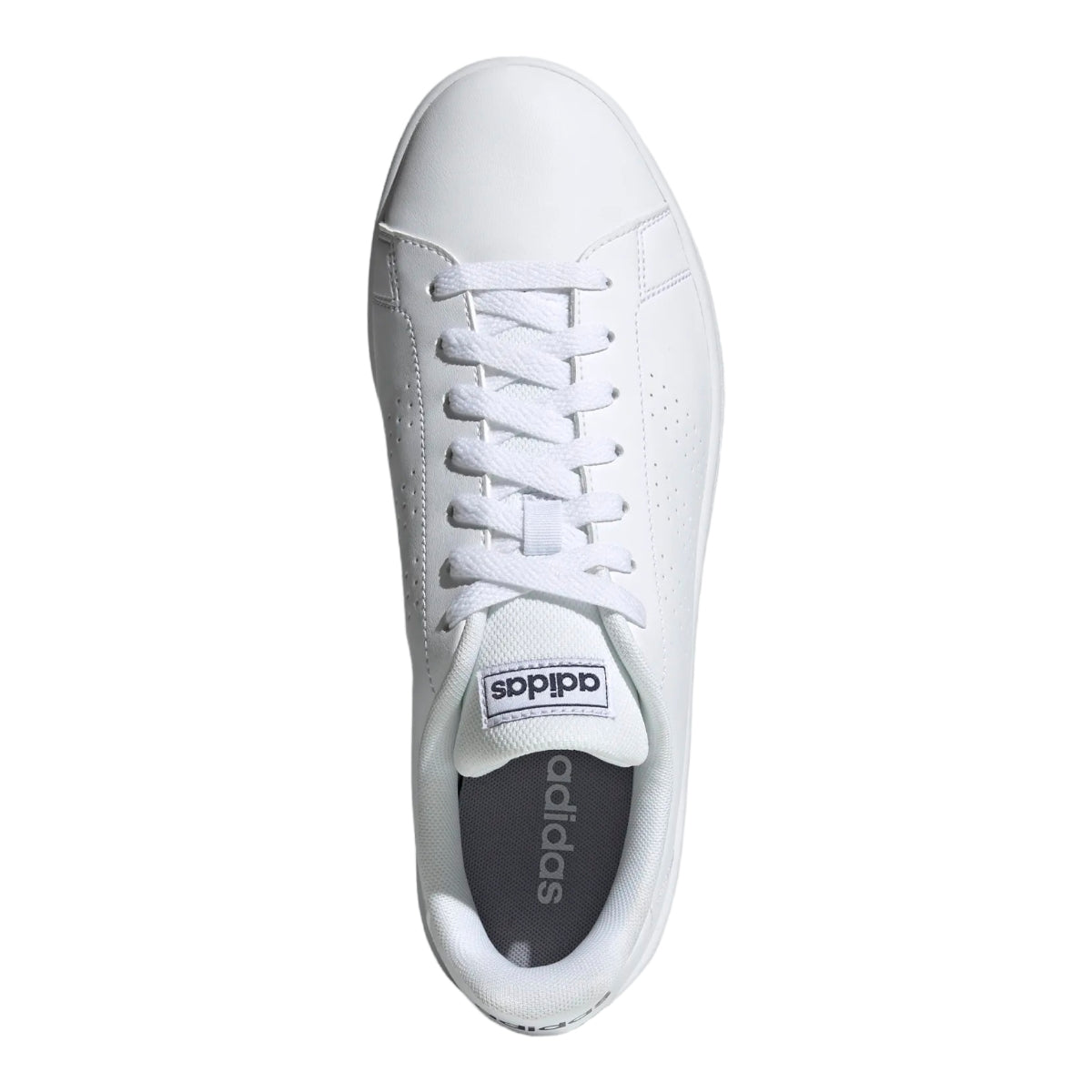 Tenis Caballero Adidas ADVANTAGE BASE EE7691