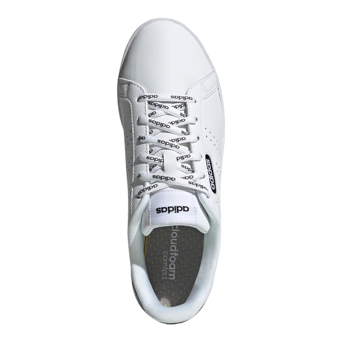 Tenis Calzado Dama Adidas COURTPOINT BASE FY8415